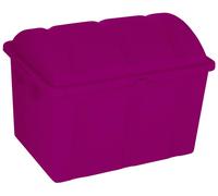 Curver 259604 Boîte de rangement Piraten 75 Jahre-Edition lilas (métallisé) 1 pc(s)
