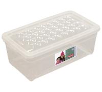 CURVER Boîte de Rangement 5.7L - Pour ranger du Linge, des Chaussures et autres objets de la Maison - 34 x 19,3 x 11,5 cm - Transparent