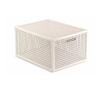 CURVER Boîte KAYA 20L 41.6 x 30.0 x 7.1 cm