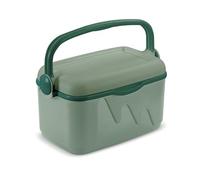 Curver Réfrigérateur 10 l - 42,8 x 23 x 26,5 cm - Vert