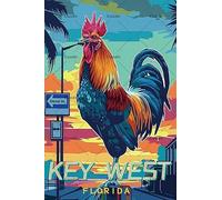 Cusde Florida Poster en métal Motif poulet Key West Florida Décoration pour bar, garage, grotte d'homme 20,3 x 30,5 cm