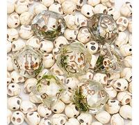 cusdie Lot de 7 dés polyédriques DND - Dés D&D - Dés tête de mort pour donjons et dragons - Jeu de table MTG (crâne avec algues)