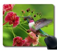 Custom Design Tapis de souris avec fleur exotique Swing colibris en néoprène antidérapant en caoutchouc Taille standard 22,9 cm (220 mm) x 17,8 cm (180 mm) x 1/20,3 cm (3 mm) de bureau Tapis de souris pour ordinateur portable souris confortable Ordinateur Tapis de souris