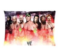 Custom WWE World Wrestling Entertainment Pillowcase Soft Zippered Throw Pillow Cover Cushion Case Covers Fasfion Design Two Sides Printed 20x30 Pillows