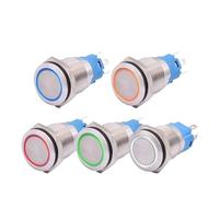 Customized 16mm Illuminated Flat Metal Push Button Switch On Off Latching 1NO1NC Momentary 12V 24V 110V 220V LED Light Red Green NWPNLXEA(3-6V)
