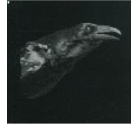 Cut City - Exit Decades [Import]