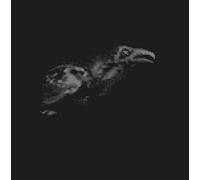 Cut City - Exit Decades [Import USA]