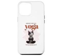 Cute Cat Yoga Spiritual Meditation Zen Balance Namaste Om Coque pour iPhone 12 Pro Max