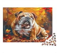 Cute Chien Puzzle 1000 Pièces avec Assemblage Fluide, Puzzle Adulte Impossible Difficile Très Difficile Défiante pour Une Activité en Famille, Cadeau De Retraite 38x26cm/1000pcs