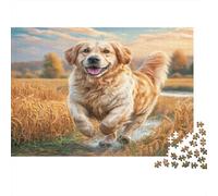 Cute Dog 1000 Piece Puzzle for Adults Golden Retriever in Wheat Fun and Challenging Family Game & Great Gift Idea 70x50cm/1000pcs