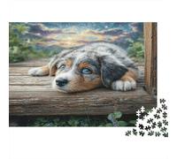 Cute Dog Adult Challenging Puzzle Games Aussie Shepherd on Bench for Women, Gifts for Men Age 14 Years Up 70x50cm/1000pcs