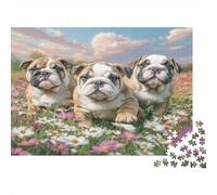 Cute Dog Puzzle 1000 Pièces Cadeau Unique Three Bulldog Puppies in Flower Field Jeu Éducatif Challenge Toy À De Qualité Supérieure Peinture Art Pour Adultes Et Enfants À Partir De 12 Ans 70x50cm/1000p