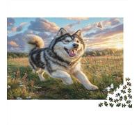 Cute Dog Puzzle for Adults & Age 14 Up Alaskan Malamute in Meadow Fun Present & Activity for Home Gift 38x26cm/1000pcs