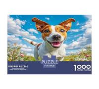 Cute Dog Puzzles 1000 Pièces Cadeau Unique Dog in Colorful Flower Field Jeu Éducatif Défi Jouet À De Qualité Supérieure Peinture Art pour Adultes Et Enfants À Partir De 12 Ans 38x26cm/1000pcs
