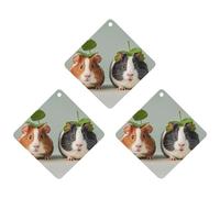 Cute Guinea Lot de 3 désodorisants à suspendre pour voiture, maison, bureau, style gris