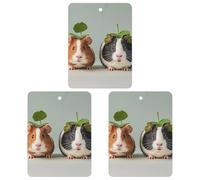 Cute Guinea Lot de 3 désodorisants carrés à suspendre pour voiture, maison, bureau, style gris