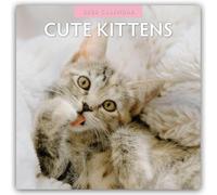Cute Kittens 2026 Square Wall Calendar