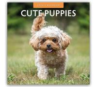 Cute Puppies 2026 Square Wall Calendar