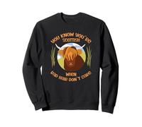 Cute Scottish Highland Cow - Bad Hair Don´t Care Sweatshirt