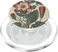 Cute Vintage Botanical Flower Red Beige PopSockets PopGrip pour MagSafe