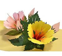 CUTPOPUP Carte pop-up 3D pour un anniversaire, la fête des mères, des vœux et des remerciements (fleurs d’hibiscus)