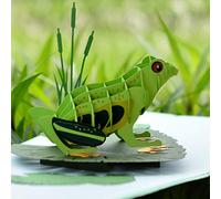CUTPOPUP Frog - Carte d'anniversaire Pop Up, Voeux 3D, Carte de remerciement (Grenouille) AN078FR1515