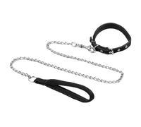 CVDYWDJIE 1 Laisse pour Animaux De Compagnie, 1 Collier pour Animaux De Compagnie, Laisse pour Chien en Métal, Ensemble De Promenade pour Chien en Plein Air, Accessoires pour Animaux De Compagnie