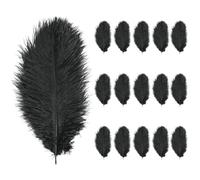 CVDYWDJIE 15 Plumes Noires pour Décoration De Maison, Matériaux Artisanaux Adaptés Aux Mariages, Fêtes, Bureaux, Maison