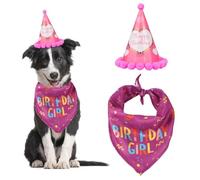 CVDYWDJIE Serviette De Salive pour Animaux De Compagnie 1 Pièce, Chapeau d'anniversaire 1 Pièce, Écharpe Triangulaire pour Chiens Et Chats, Fournitures De Fête d'anniversaire