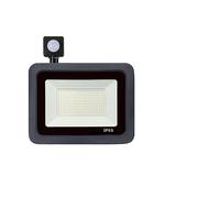 CVFRDD 10W 20W 30W 50W 100W éclairage LED étanche PIR capteur de Mouvement projecteur extérieur Applique Murale projecteur(Cold White_100W)