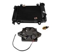CVPX Radiateur Moteur Convient pour 150cc 200cc 250cc ATV UTV Quad Dirt Bike Accessoires Refroidissement Moteur Refroidisseur Radiateur Kit Refroidissement Ventilateur 12V Radiateurs Moto(B)