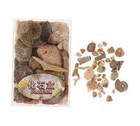 CVUTOVO 1 Boîte Mixed Ore Mineral Stone Specimens for Natural Stone Collections Educational Teaching Materials