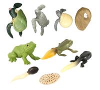 CVUTOVO 2 Ensembles Figurines Évolution Animale Tortue et Grenouille Réalistes Jouets Éducatifs pour Garçon Fille Apprentissage Cycle de Vie