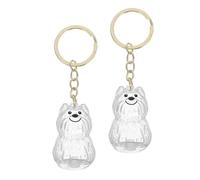 CVUTOVO 2 pièces Porte-clés Souvenir Poils Animaux Solide Compact et Léger avec Fermeture Sécurisée Boîte Transparente pour Mémorial Chiens et Chats Coffret Commémoratif Portable pour