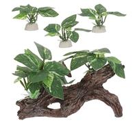 CVUTOVO 4 grottes décoratives en Bois flotté pour Aquarium - Grottes réalistes pour Poissons Betta et crevettes - Bois flotté avec Feuilles pour l'aménagement Aquatique