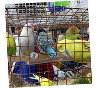 CVUTOVO Perroquet Stand Poteau Manger Un Bol de Perroquet Grand Support Perche Support de Bol Alimentaire de d'oiseau en Brun