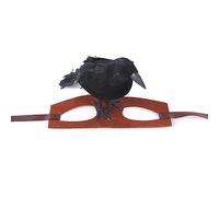 CVZQTE Chapeau pour petit chien Halloween Corbeau Decoraiton Couvre-chef Accessoires de vacances Accessoires photo pour chats et chiens