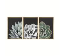 CWBLYZ Décor de salle de bains,Affiche sur Toile Art Moderne Rose du Désert Succulente Ensemble Nature Plantes pour Chambre Salon Cuisine Couloir Art Mural Décoration de Chambre-(40 * 50cm)*3PCS