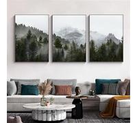 CWBLYZ Lot de 3 Toiles Abstraites Représentant Une Forêt Brumeuse Affiches et Impressions Paysage Nordique Art Mural Moderne pour Salon Décoration D'Intérieur - 40 * 60Cm (Sans Cadre)