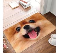 CWCMZDH Chiots De Poméranie Étage De La Porte De La Cuisine Tapis De Bain Anti-Dérapant en Plein Air Spitz Pom Chien Paillasson Entrée du Jardin Tapis Électrode