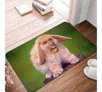 CWCMZDH Drôle De Nicolas Cage Lapin Mème Paillasson De La Non-Dérapant Bain Tapis De Cuisine Porte des Toilettes, Étage D'Entrée Tapis