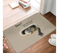 CWCMZDH Hé, Je Veux Juste Dire Que Le Jour Heureux de Crocodile Pattren la Porte Avant du Tapis Anti-Slip Intérieur Paillasson Jardin, Entrée de Garage de Tapis