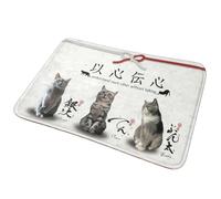 CWCMZDH Isindensin Comprendre Les UNS Les Autres, sans Parler de l'Anti-dérapant Paillasson Coussin Tapis pour la Cuisine, la Chambre à Coucher Électrode Mat