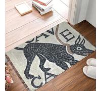 CWCMZDH Les Romains de l'antiquité antidérapant Paillasson Cave Canem Salle de Bain en mosaïques de Cuisine Tapis de Tapis pour l'Extérieur de la Flanelle, de Décoration Moderne