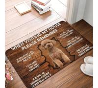 CWCMZDH Lors De La Visite De Ma Maison s'il Vous Plaît Rappelez-Vous Chien Caniche Paillasson Tapis Anti-Dérapant Bain Cuisine Chambre À Coucher Tapis