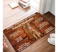 CWCMZDH Lors De La Visite De Ma Maison Souviens D'Abyssinie, Devant La Porte De Tapis Anti-Slip Intérieur À Séchage Rapide Paillasson De Cuisine, Balcon, Entrée Tapis