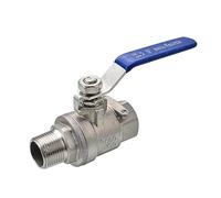 CWHHTVBI Robinet à Boisseau sphérique 2 Voies en Acier Inoxydable 304, Filetage Femelle/mâle BSPT, DN15, DN20, DN25, raccord de tuyauterie d'eau Q11F-16P(0.75 inch)