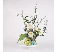CWLPSL Bonsaï artificiel de style chinois, ensemble floral pour salon, meuble TV, cloison, décoration d'hôtel, fausses fleurs, bouquets, décoration de bureau, A