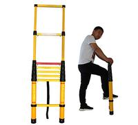 CWLPSL Échelle d'extension Industrielle en Aluminium, échelle d'extension Robuste en Fibre de Verre, pour la Maison, Le Bureau, l'intérieur et l'extérieur, Travail sur Le Toit du Grenier,