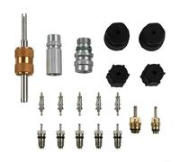CWOQOCW Kit de 19 pièces de noyau de valve de climatisation R134a R12 AC Joint de port de service en laiton aluminium étanche pour voiture maison réparation portable